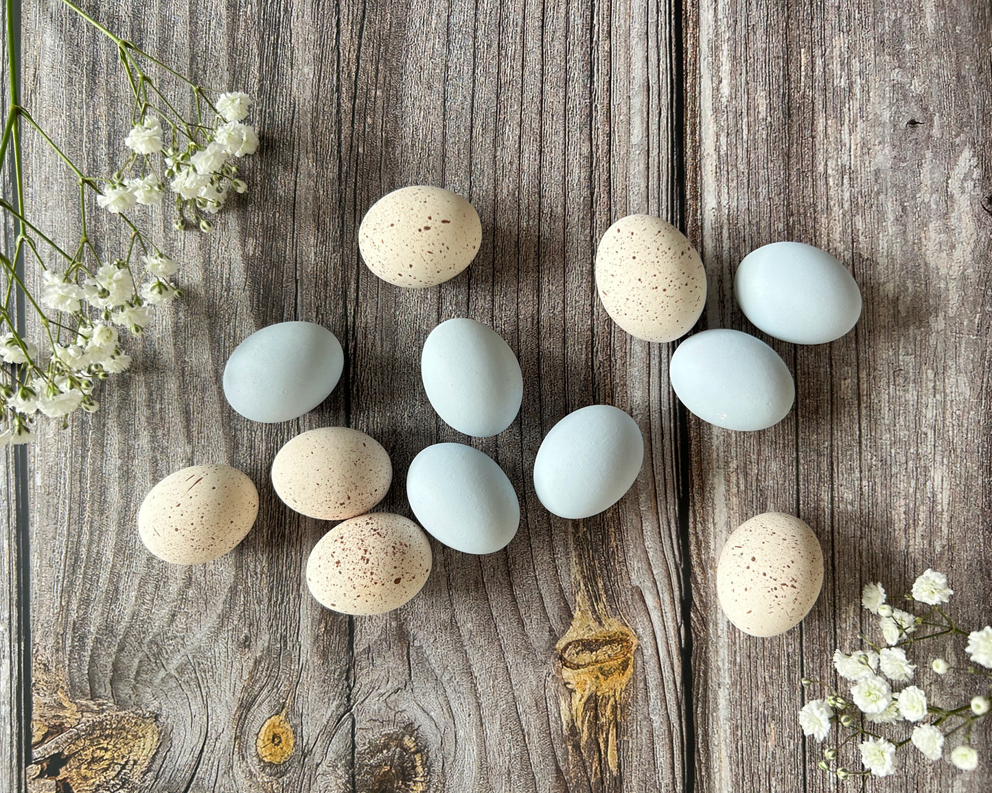 Ameraucana Ceramic Quail Eggs, Dozen