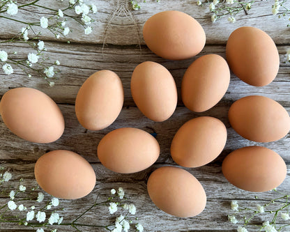 Brown Ceramic Chicken Eggs, Dozen