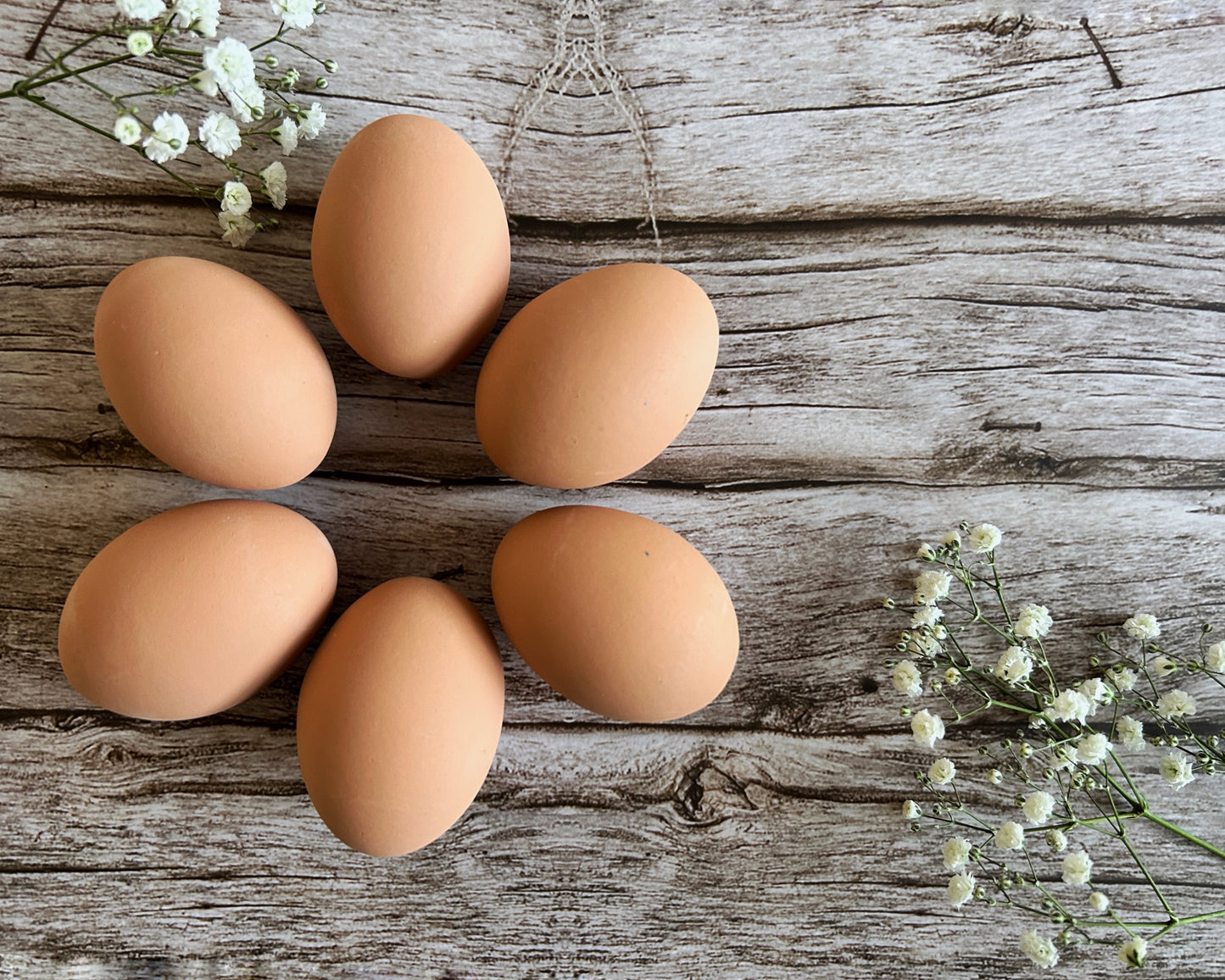 Brown Ceramic Chicken Eggs, Half Dozen