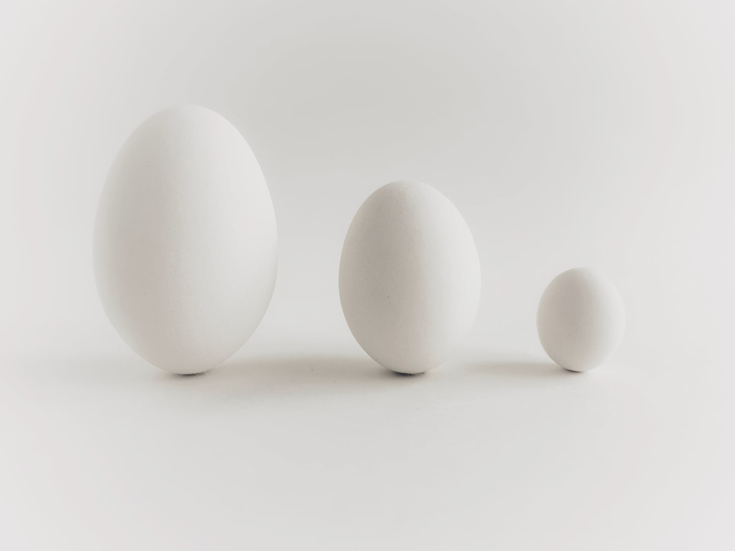 White Ceramic Goose Eggs, Half Dozen