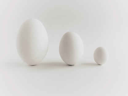 White Ceramic Chicken Eggs, Dozen