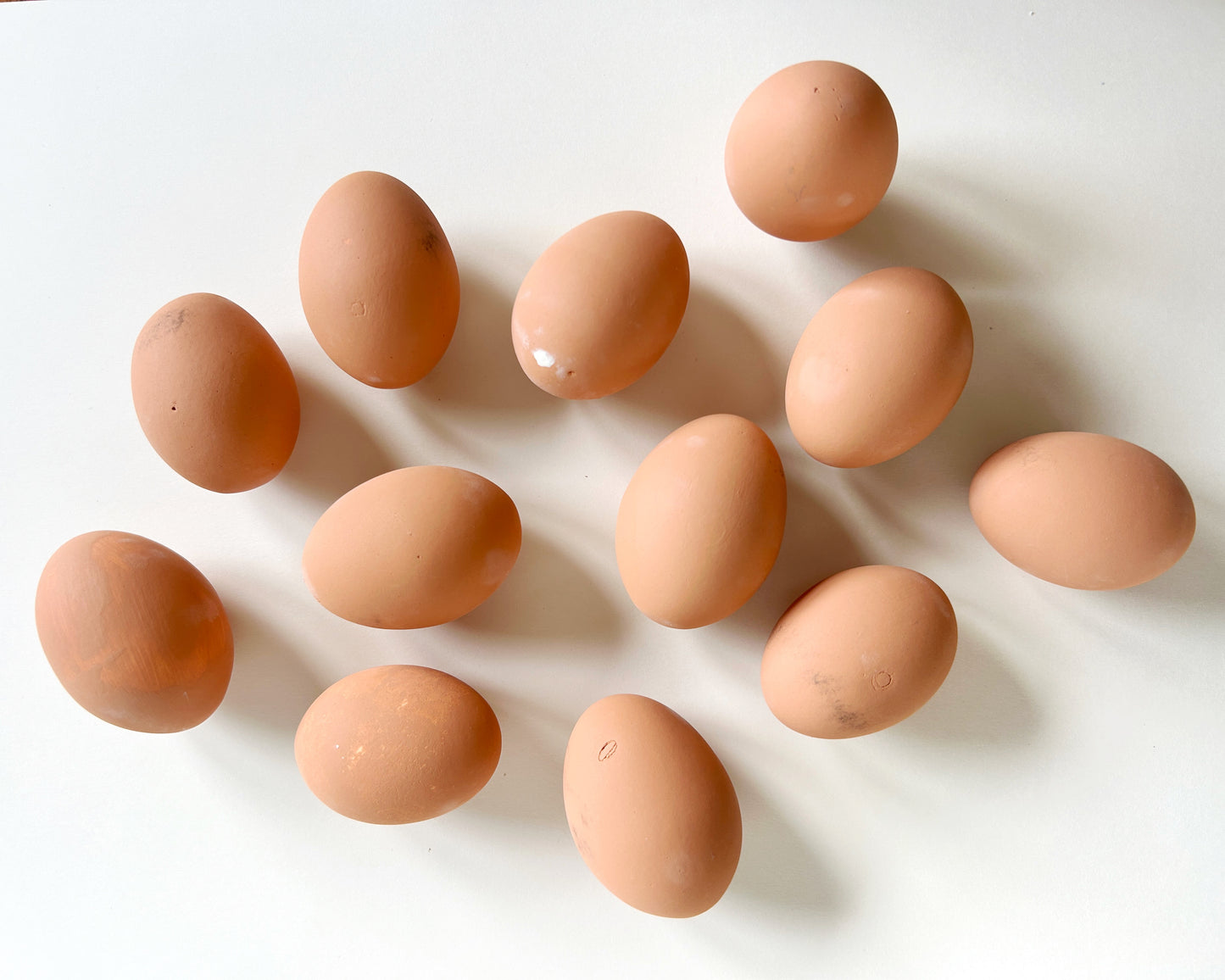 Seconds, Brown Chicken Eggs, 15 Dozen