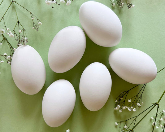 White Ceramic Goose Eggs, Half Dozen