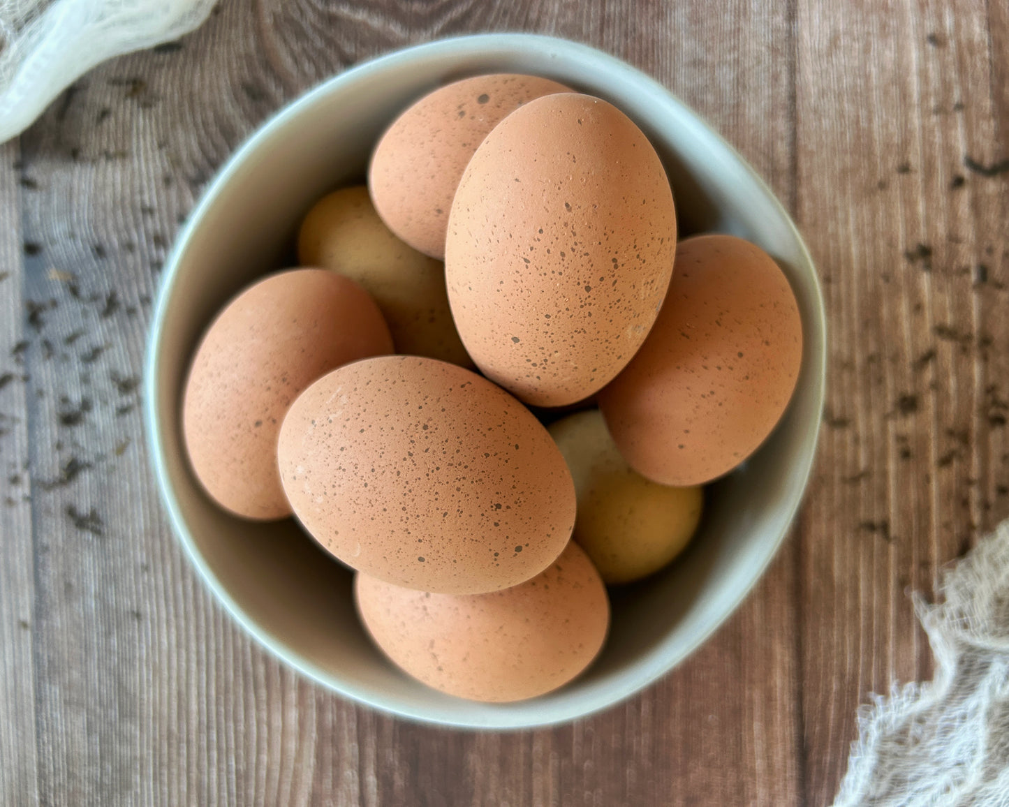 Speckled Ceramic Chicken Eggs, Dozen