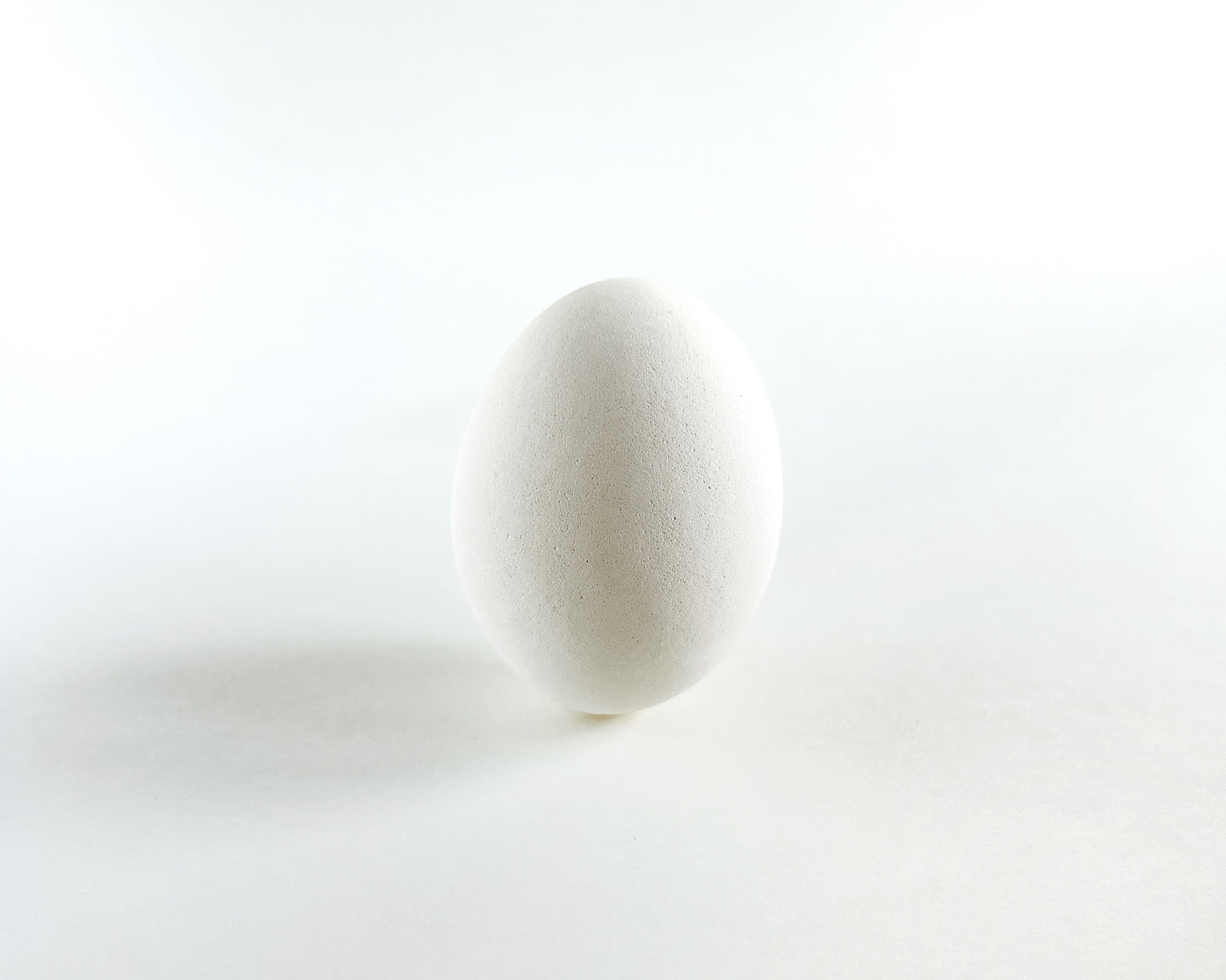 White Ceramic Chicken Eggs, Dozen