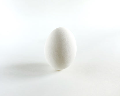 White Ceramic Chicken Eggs, Dozen