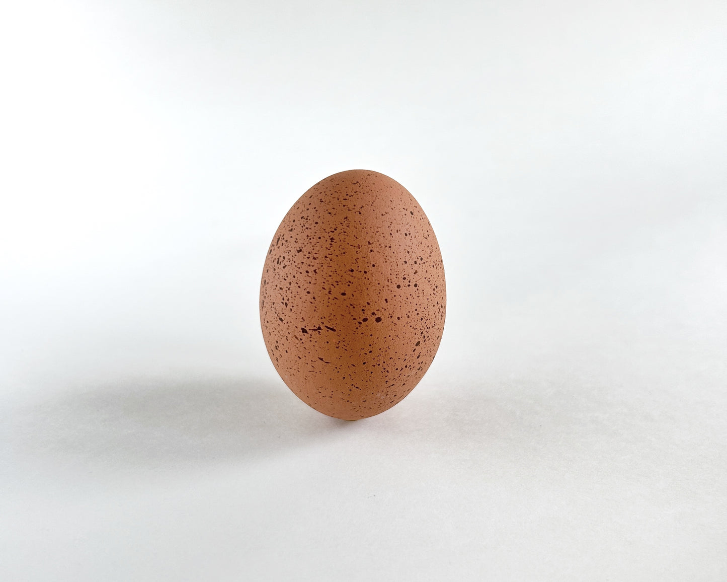 Speckled Ceramic Chicken Eggs, Dozen