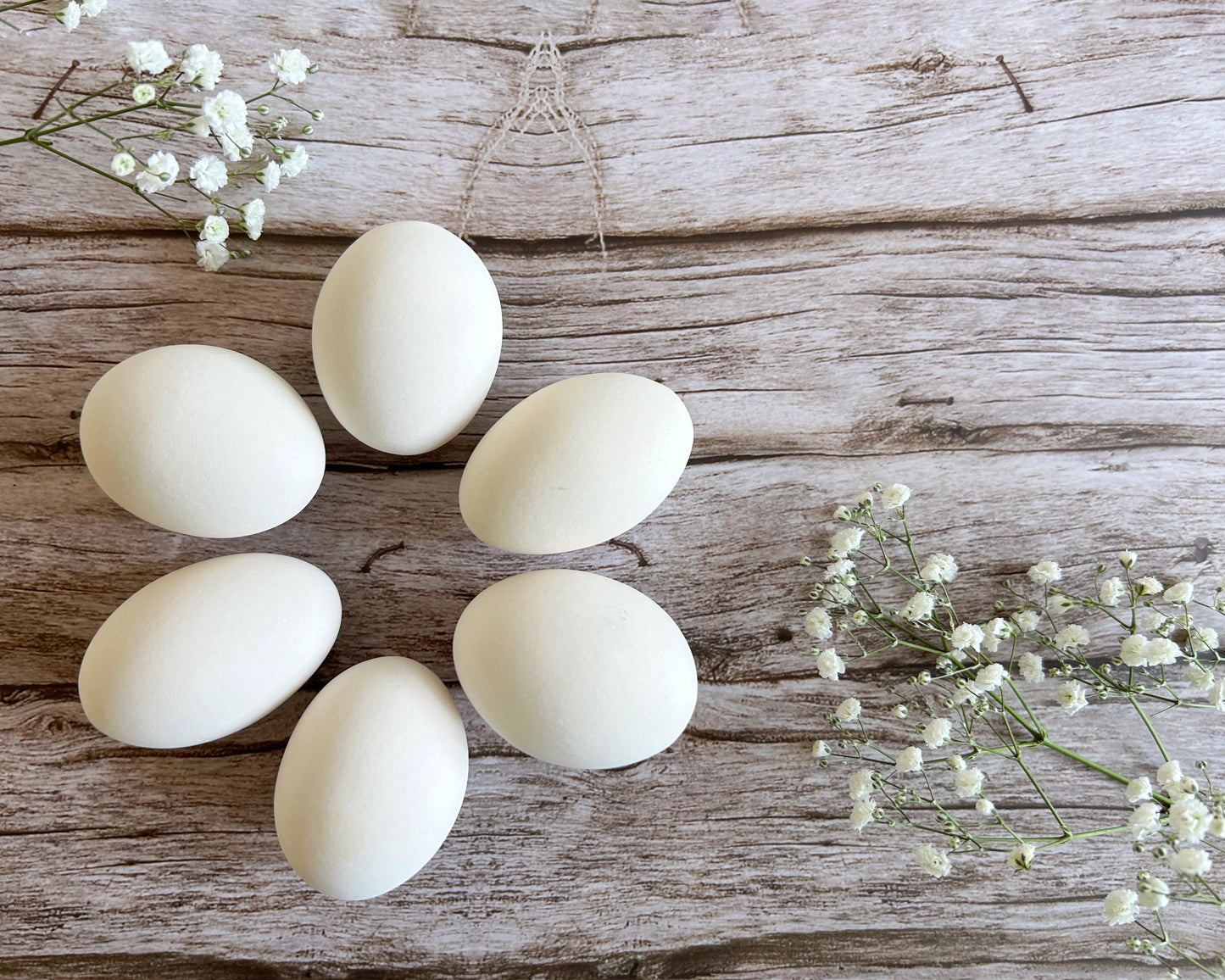 White Ceramic Chicken Eggs, Half Dozen